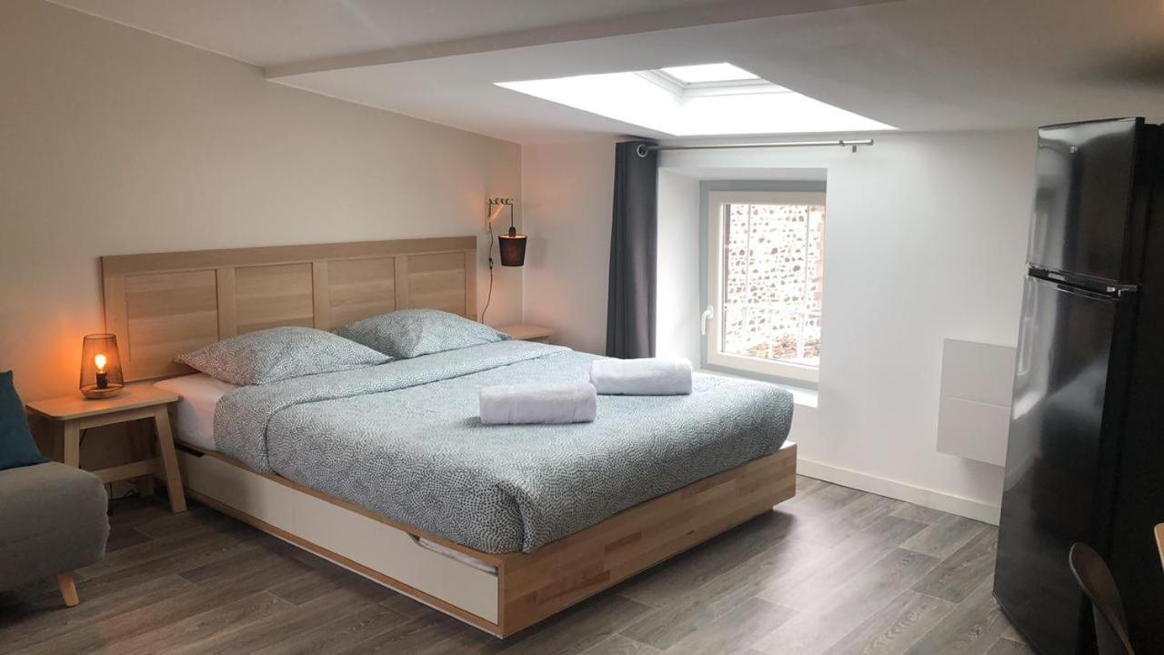 Jolis Appartements Au Coeur De Clermont Ferrand - Proche Jaude - Wifi Et Netflix 외부 사진