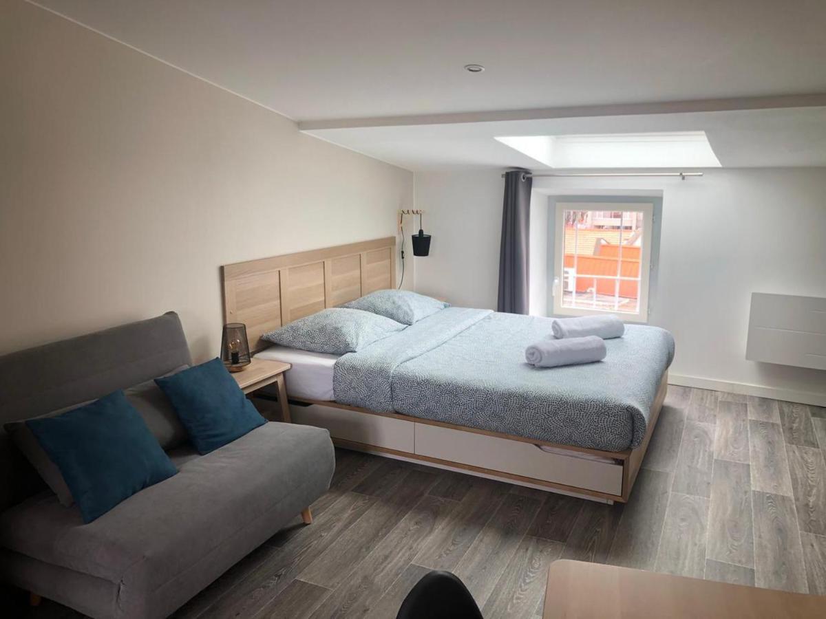 Jolis Appartements Au Coeur De Clermont Ferrand - Proche Jaude - Wifi Et Netflix 외부 사진